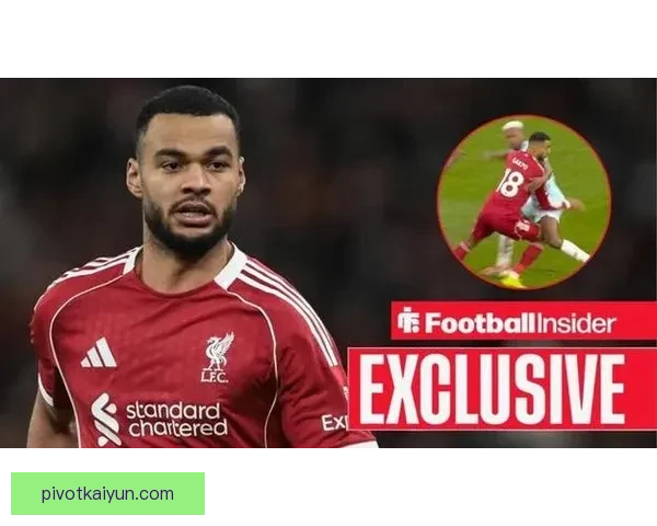 加克波在利物浦本赛季表现稳健，进攻端持续提升